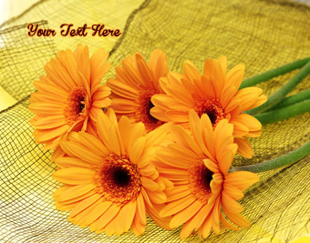 Orange Flower quote pictures